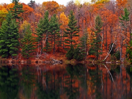 Picture of MEECH LAKE REFLECTIONS