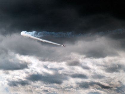 Picture of MUSTANG IN FLIGHT