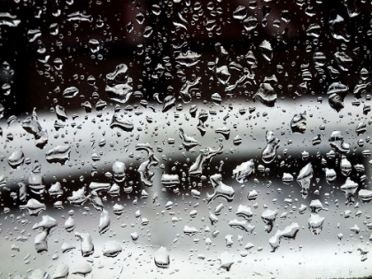 Picture of WET WINDOW