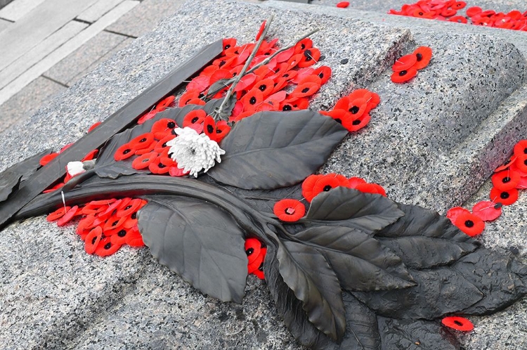 Picture of WAR MEMORIAL POPPIES