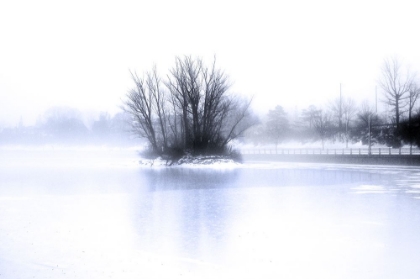 Picture of ISLAND IN THE CANAL