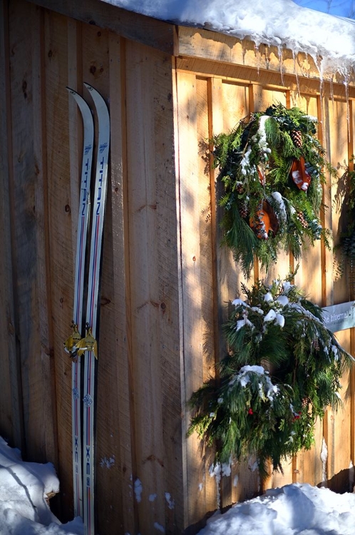 Picture of SKIS ON SHED