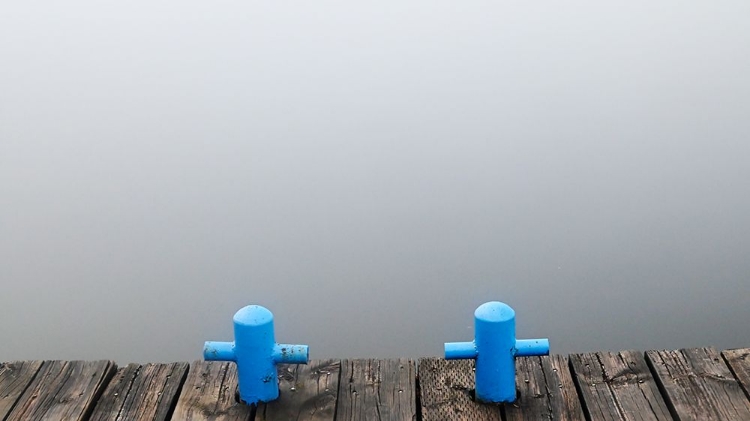 Picture of BLUE MOORS AT DOWS LAKE