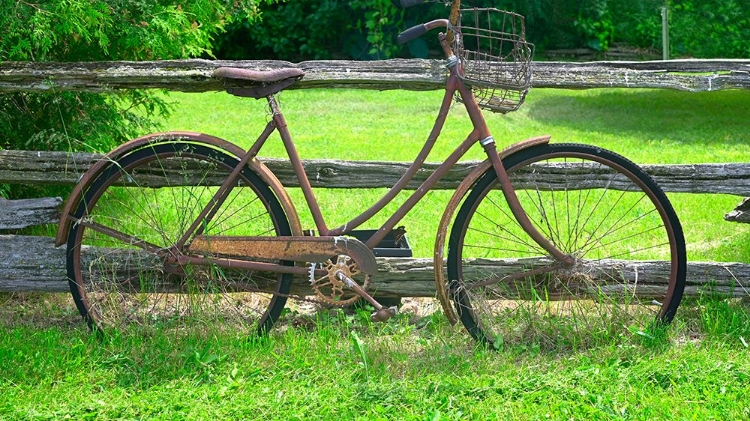 Picture of RUSTIC BIKE AND OLD FENCE