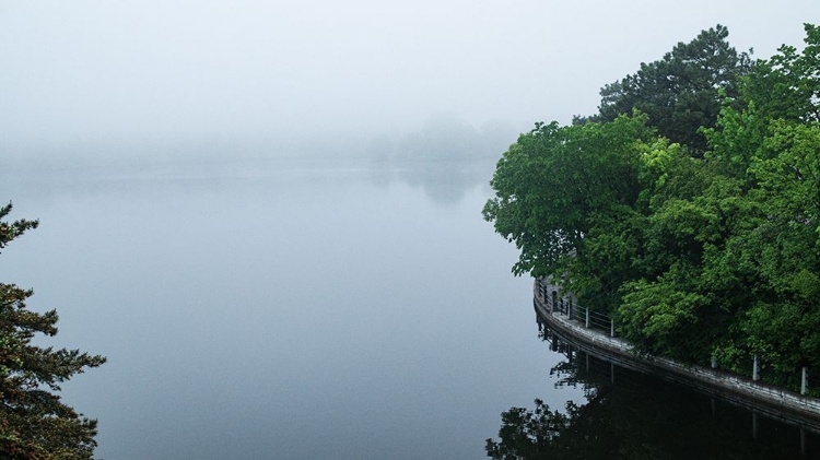 Picture of DOWS LAKE IN FOG 2