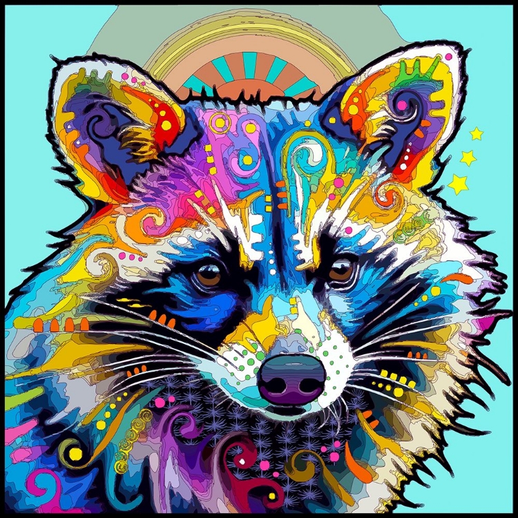 Picture of BRILLIANT RACCOON