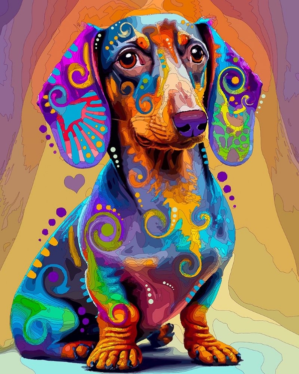 Picture of THE OBVIOUS DOXIE