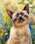 Picture of SIAMESE CAT CONTEMPLATIVE CALM