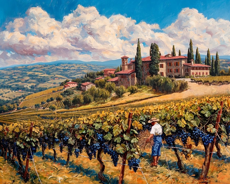 Picture of TUSCAN VINEYARD HARVEST RUSTIC ITALIAN COUNTRYSIDE LANDSCAPE