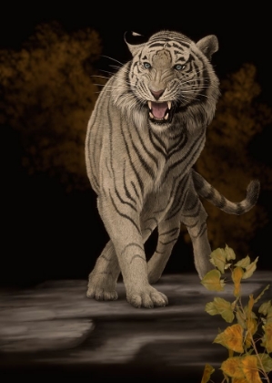 Picture of WHITE BENGAL TIGER