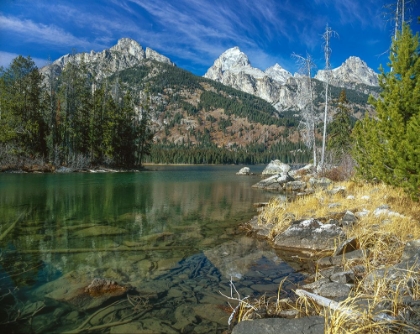 Picture of RETURN TO THE GRAND TETONS 03