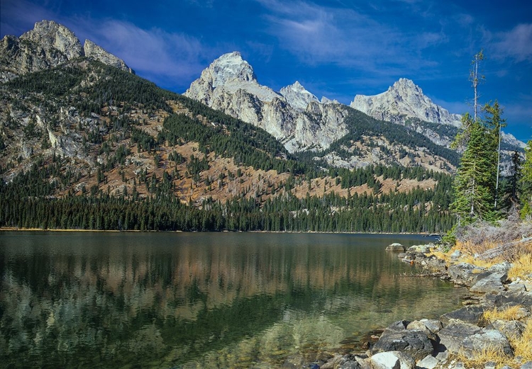 Picture of RETURN TO THE GRAND TETONS 04