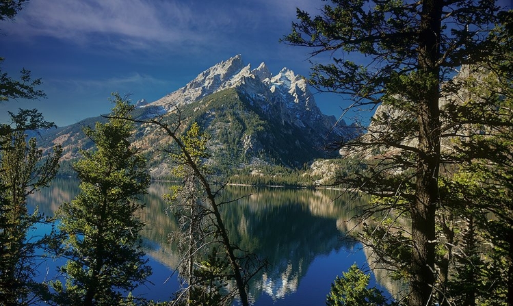 Picture of RETURN TO THE GRAND TETONS 05