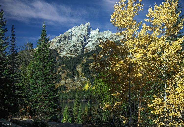 Picture of RETURN TO THE GRAND TETONS 07