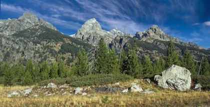 Picture of RETURN TO THE GRAND TETONS 08