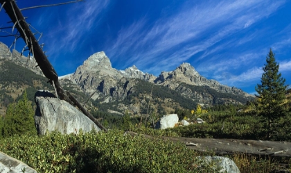 Picture of RETURN TO THE GRAND TETONS 09