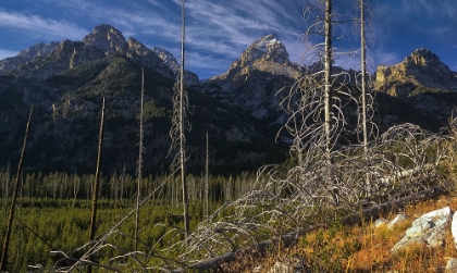 Picture of RETURN TO THE GRAND TETONS 10