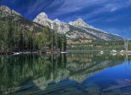 Picture of RETURN TO THE GRAND TETONS 11