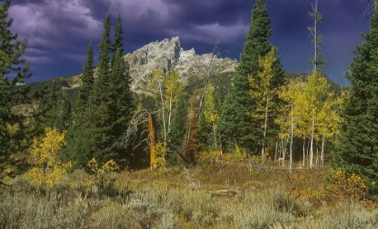 Picture of RETURN TO THE GRAND TETONS 12