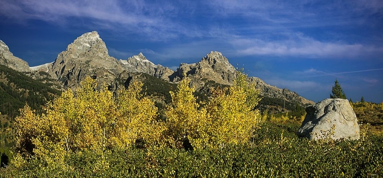 Picture of RETURN TO THE GRAND TETONS 13