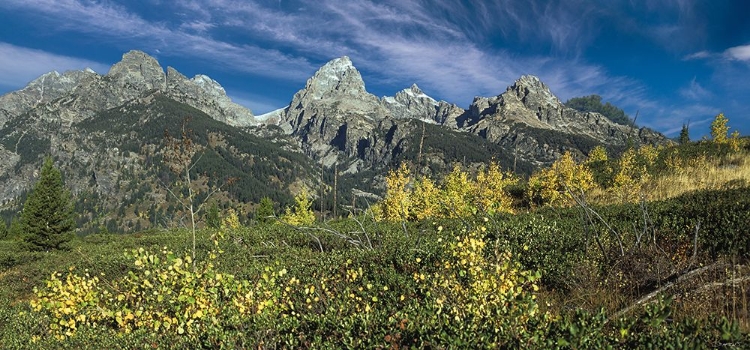 Picture of RETURN TO THE GRAND TETONS 14