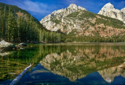 Picture of RETURN TO THE GRAND TETONS 16