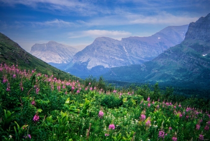 Picture of GLACIER NATIONAL PARK 04