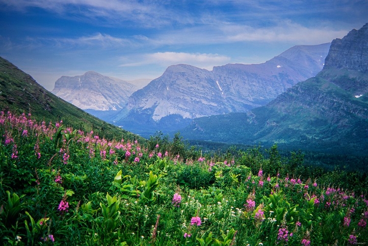 Picture of GLACIER NATIONAL PARK 04