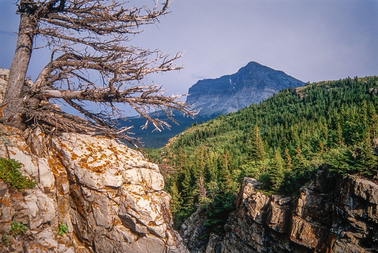 Picture of GLACIER NATIONAL PARK 05