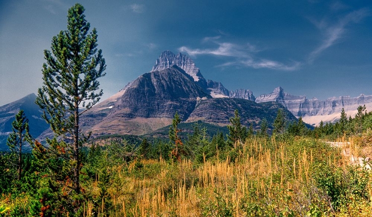 Picture of GLACIER NATIONAL PARK 07 2