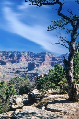 Picture of GRAND CANYON NATIONAL PARK 03