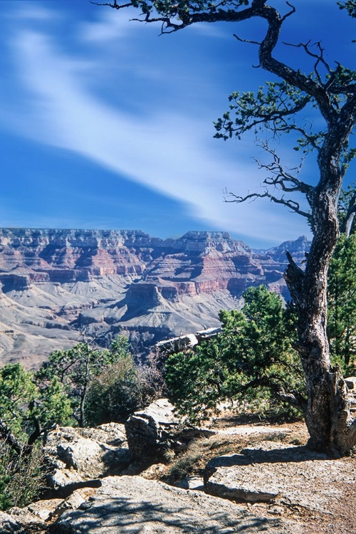 Picture of GRAND CANYON NATIONAL PARK 03