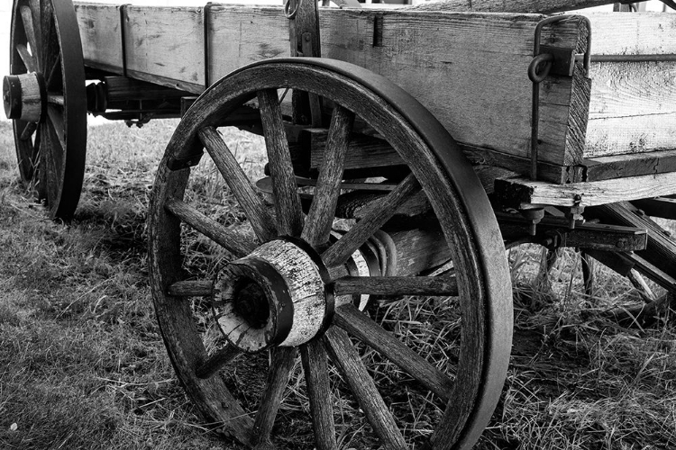 Picture of FARMHOUSE ON THE PRAIRIE 25