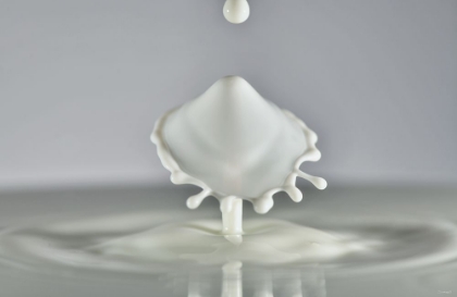 Picture of MILK SPLASH 6939