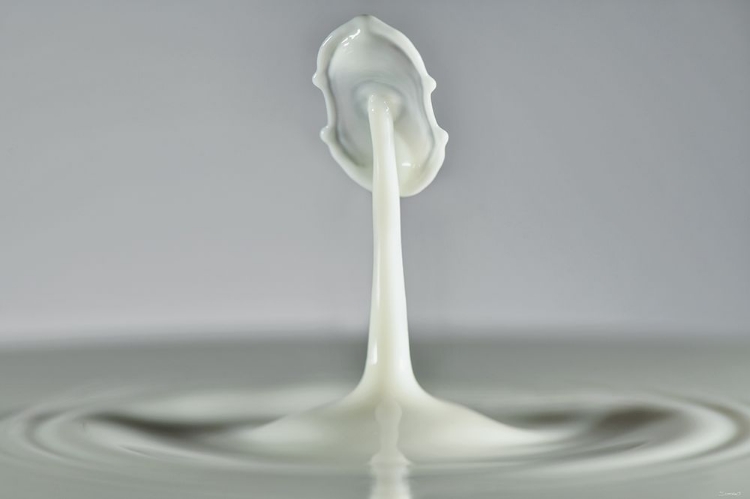 Picture of MILK SPLASH 6973