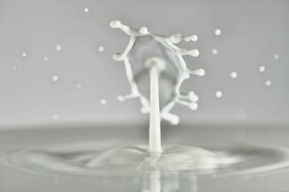 Picture of MILK SPLASH 7008