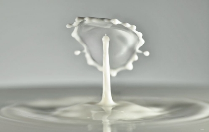 Picture of MILK SPLASH 7013