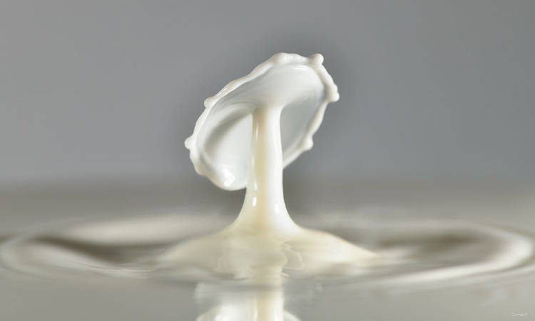 Picture of MILK SPLASH 7236