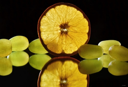 Picture of FRUIT MACROS_16