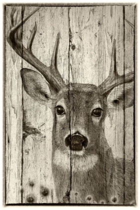 Picture of WOODGRAIN ANTIQUES-WHITETAIL BUCK