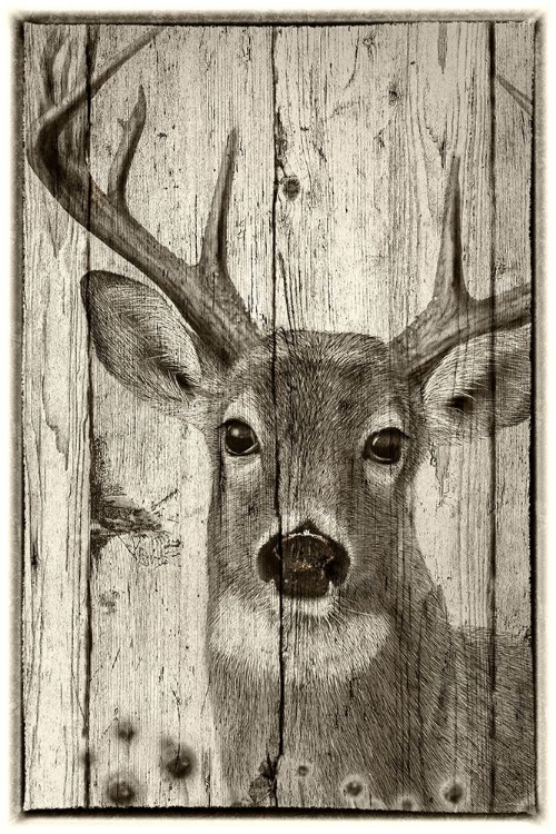 Picture of WOODGRAIN ANTIQUES-WHITETAIL BUCK