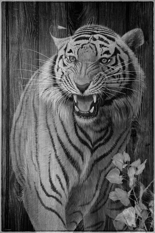 Picture of WOODGRAIN ANTIQUES TIGER 02