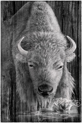 Picture of WOODGRAIN ANTIQUES WHITE BUFFALO