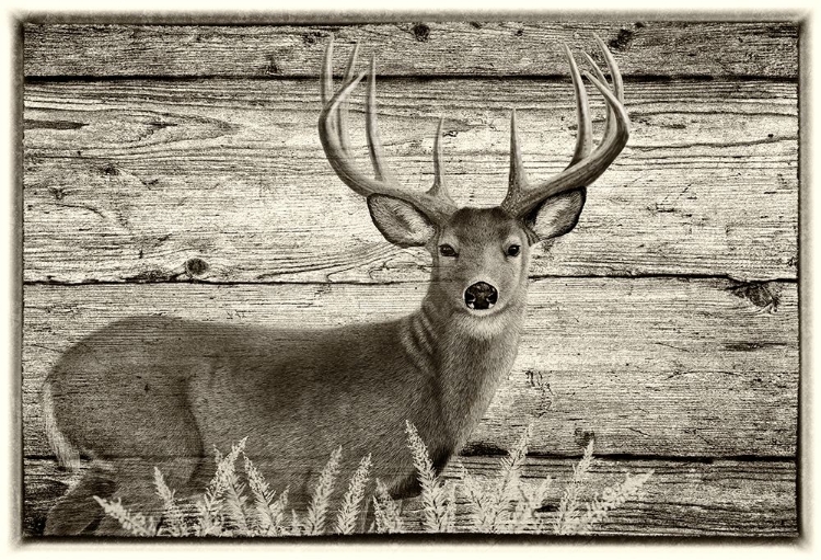 Picture of WOODGRAIN ANTIQUES WHITETAIL BUCK 2