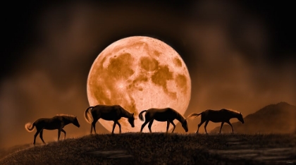 Picture of MOONRISE OVER THE BADLANDS