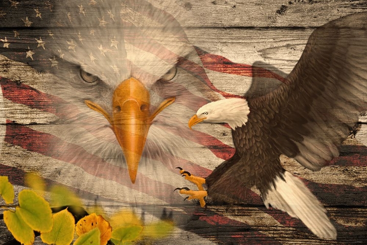 Picture of WOODGRAIN ANTIQUES BALD EAGLE