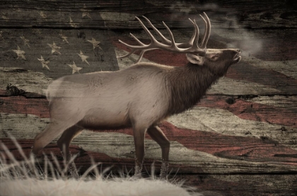 Picture of WOODGRAIN ANTIQUES AMERICAN ELK