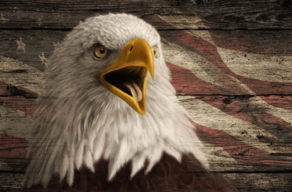 Picture of WOODGRAIN ANTIQUES BALD EAGLE 3