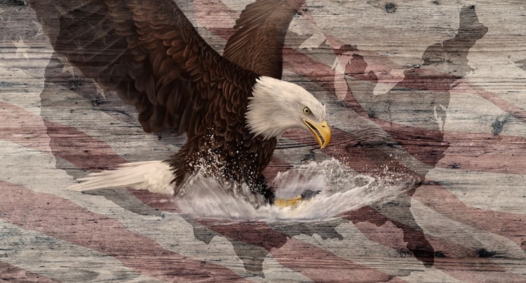 Picture of WOODGRAIN ANTIQUES BALD EAGLE USA