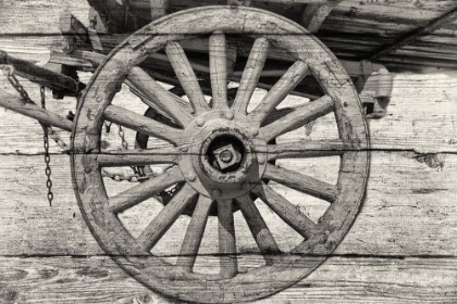 Picture of LOST FARMSTEAD ON THE PRAIRIE 002